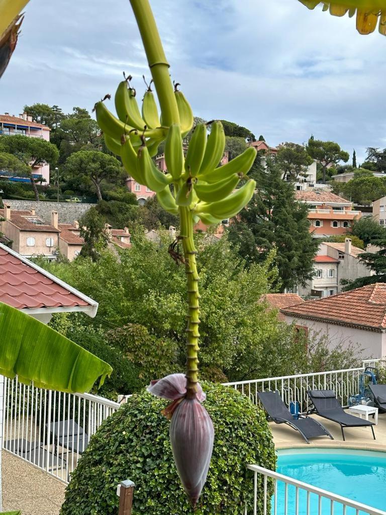 Hôtel La Fiancée du Pirate Villefranche-sur-Mer Exterior foto